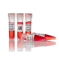 DYMO® LabelWriter™ Cryogenic Labels for Frozen Surfaces – 25.4mm x 12.7mm | LabCollector Compatible