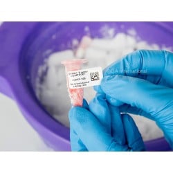 DYMO® LabelWriter™ Cryogenic Labels for Frozen Surfaces – 25.4mm x 12.7mm | LabCollector Compatible
