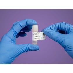 DYMO® LabelWriter™ Cryogenic Labels for Frozen Surfaces – 38.1mm x 19.1mm | LabCollector Compatible