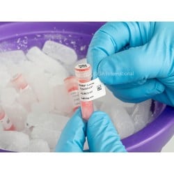 DYMO® LabelWriter™ Cryogenic SnapPEEL™ Labels for Frozen Surfaces – 28.6mm x 15.9mm rectangle + 11.1mm round | LabCollector Comp