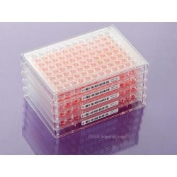 Étiquettes Cryogéniques DYMO® LabelWriter™ pour Surfaces Gelées – 50,8mm x 6,4mm | Compatible LabCollector