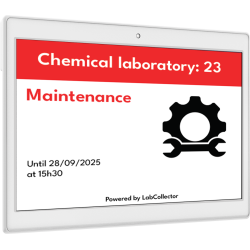 Large ESL – 480 × 800 Digital Lab Display