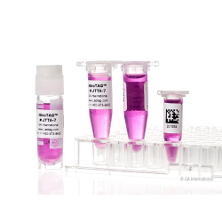 Cryogenic Labels for Frozen Surfaces – 38.1 mm × 19.05 mm | LabCollector Compatible